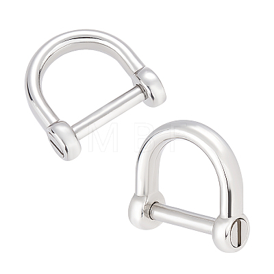 2Pcs 304 Stainless Steel D-Ring Anchor Shackle Clasps STAS-CA0001-56A-1