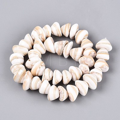 Natural Sea Shell Beads Strands SHEL-Q028-02-1