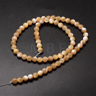 Natural Sea Shell Beads Strands SSHEL-K013-6mm-B-1