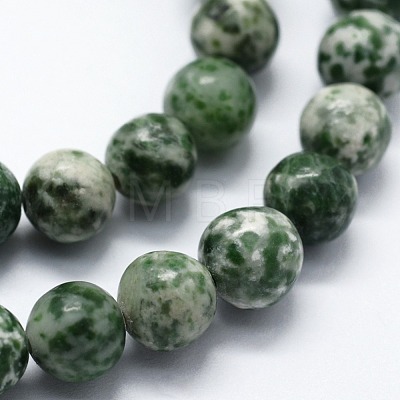 Natural Green Spot Jasper Beads Strands G-I199-30-6mm-1