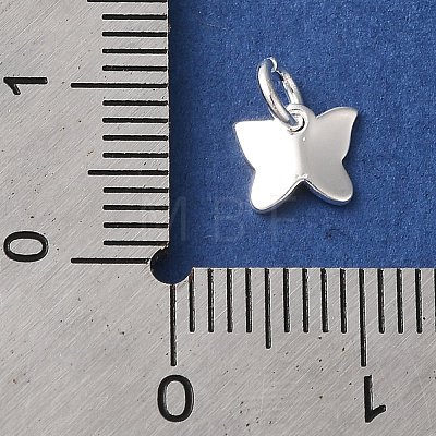 925 Sterling Silver Charms STER-M120-01A-S-1