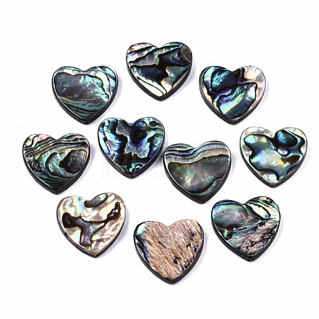 Natural Abalone Shell/Paua Shell Beads SSHEL-T014-16D-1