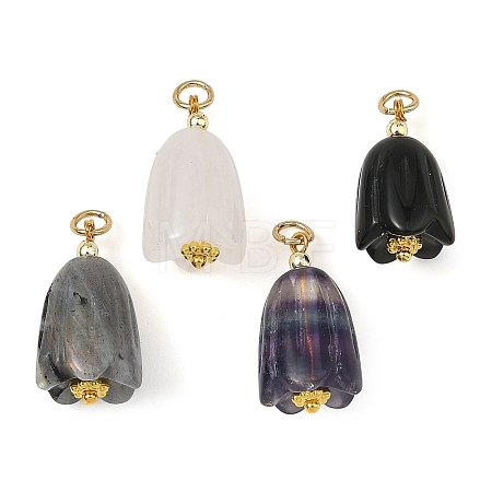 Natural Mixed Gemastone Pendants PALLOY-JF05935-1
