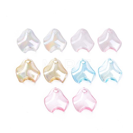 Transparent Acrylic Pendants MACR-S373-106-C-1