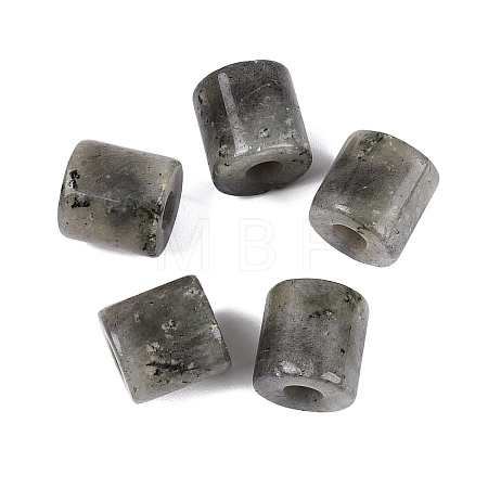 Natural Labradorite European Beads G-P520-05K-1