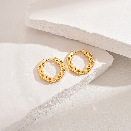 Classic Fashionable Brass Hoop Earrings for Women PJ2124-1-1