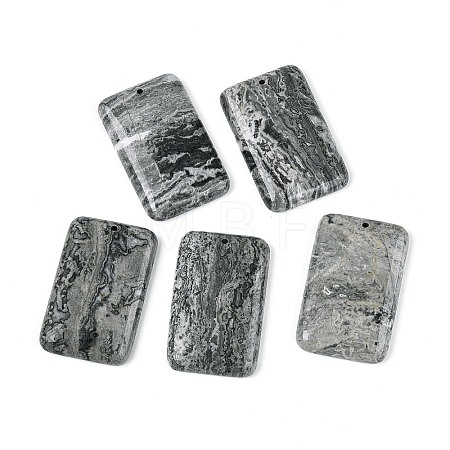 Natural Map Stone Pendants G-N361-04A-1