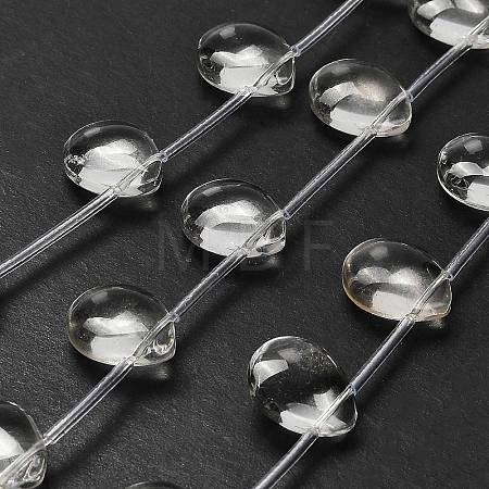 Transparent Glass Beads Strands G-P562-01-1