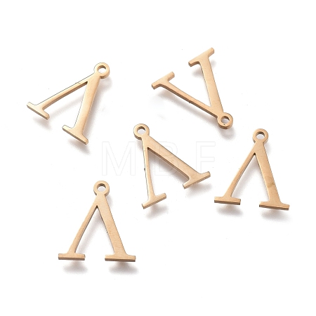 304 Stainless Steel Charms STAS-K215-24G-1