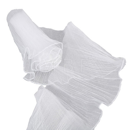 10 Yards Organza Pleated Lace Ribbon OCOR-GL0001-12A-1