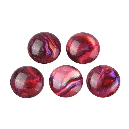 Natural Abalone Shell/Paua Shell Resin Cabochons X-SSHEL-K003-10MM-02-1