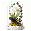 Arch Glass Dome Cover AJEW-WH0481-569A-1