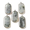 Natural Labradorite Pendants G-G063-02E-1