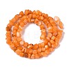 Natural Freshwater Shell Beads Strands SHEL-N037-04F-2