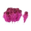 Feather Ornament Accessories PW-WGB94A7-02-1