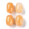 Resin European Beads RESI-F055-11F-1