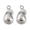 Fruit 304 Stainless Steel Charms STAS-H242-03P-03-1