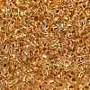 TOHO Round Beads X-SEED-TR11-0701-2