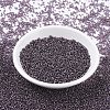MIYUKI Round Rocailles Beads SEED-JP0008-RR0024-2