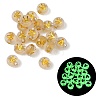 Luminous Transparent Acrylic Beads OACR-P037-01B-V-1