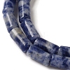 Natural Blue Spot Jasper Beads Strands G-B091-A03-01-4