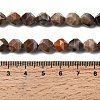 Natural Petrified Wood Beads Strands G-Z119-A21-02-6