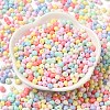 6/0 Opaque Baking Paint Glass Seed Beads SEED-M012-02A-36-2