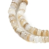 Natural Freshwater Shell Beads Strands X-BSHE-H109-13A-4