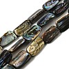 Natural Abalone Shell/Paua Shell Beads Strands BSHE-D300-01B-1
