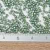 MIYUKI Delica Beads SEED-JP0008-DB2190-4