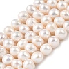 Natural Cultured Freshwater Pearl Beads Strands PEAR-I007-07S-01A-2