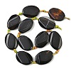 Natural Agate Bead Strands G-P192-16-3