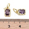 Brass Micro Pave Cubic Zirconia Charms KK-C051-10G-04-3