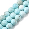 Natural Magnesite Beads Strands G-P598-E-10mm-01-2