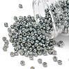 TOHO 6/0 Round Beads X-SEED-TR06-PF0565-1