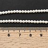 Electroplated Shell Pearl Beads Strands BSHE-K017-2.5mm-4