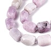 Natural Kunzite Beads Strands G-N362-07A-08-4