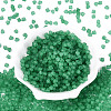 FGB Frosted Transparent Glass Seed Beads SEED-N013-03A-09-2