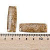 Natural Fossil Coral Pendants G-B187-01C-08-3