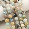 Natural Flower Amazonite Beads Strands G-F415-10mm-8