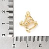 Brass Micro Pave Cubic Zirconia Pendants KK-D091-04G-3