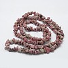 Natural Rhodonite Beads Strands G-F328-23-2