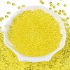 FGB Transparent Glass Seed Beads SEED-N013-01A-12-2