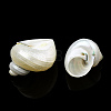 Natural Spiral Shell Beads X-SSHEL-N034-126-4