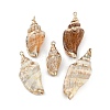 Natural Shell Pendants SHEL-K009-01C-1