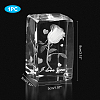 Transparent Glass Display Decorations DJEW-WH0010-42-2