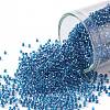 TOHO Round Seed Beads SEED-XTR15-0188-1