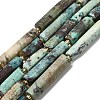 Natural Chrysocolla Beads Strands G-D353-A06-2