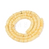 Natural Freshwater Shell Beads Strands SHEL-Q028-01B-2