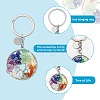 4Pcs 2 Style Natural Mixed Stone Keychains KEYC-FH0001-13-4
